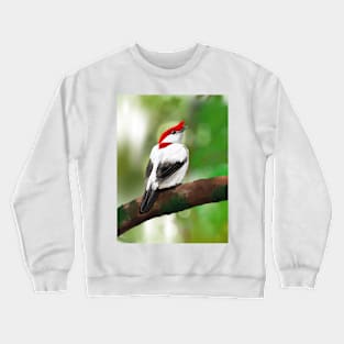 Araripe Manakin Crewneck Sweatshirt